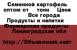 Семенной картофель оптом от 10 тонн  › Цена ­ 11 - Все города Продукты и напитки » Фермерские продукты   . Ленинградская обл.